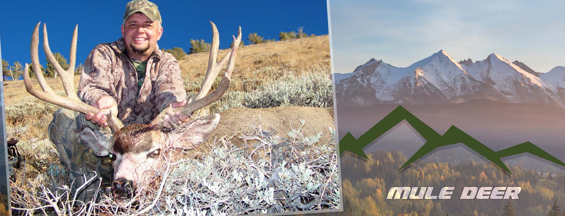 Nevada Mule Deer Hunting Guide & Outfitter