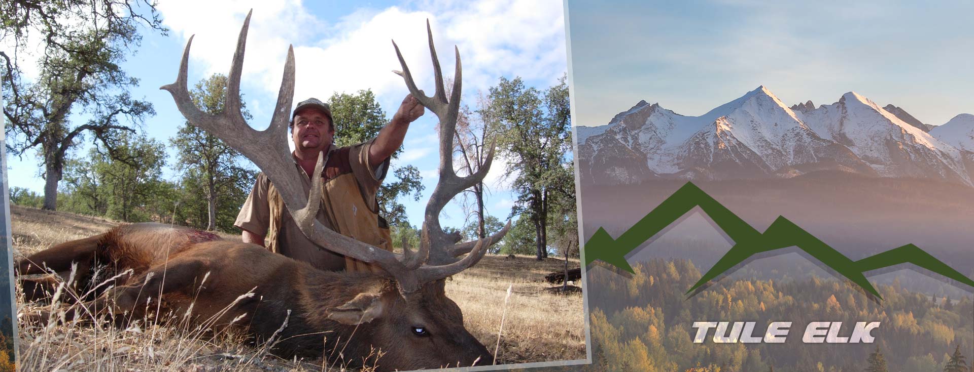 California Tule Elk Hunts