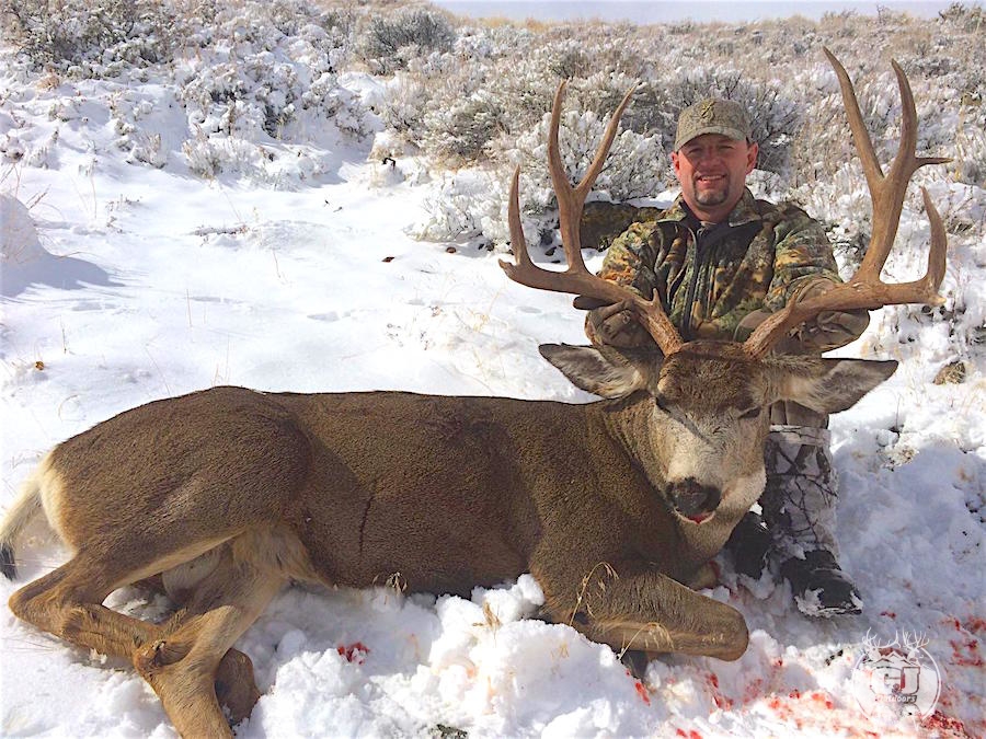 Mule Deer Hunts